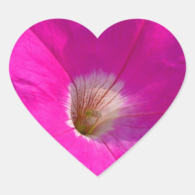 Adesivo Coração flor de petúnia rosa (Frente)