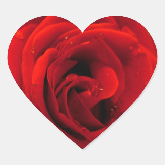 Adesivo Coração flor de rosa vermelha (Frente)