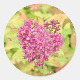 Adesivo Coração Flor Natural - perfurado pela seta.