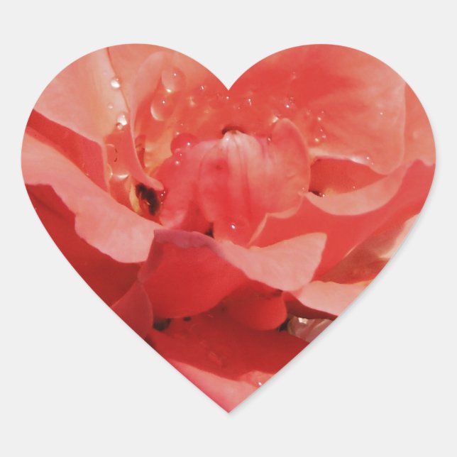 Adesivo Coração Flor Rosa Rosa Rosa Pêssego bonito (Frente)