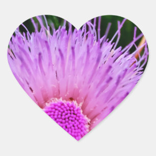 Adesivo Coração Flor roxa e rosa