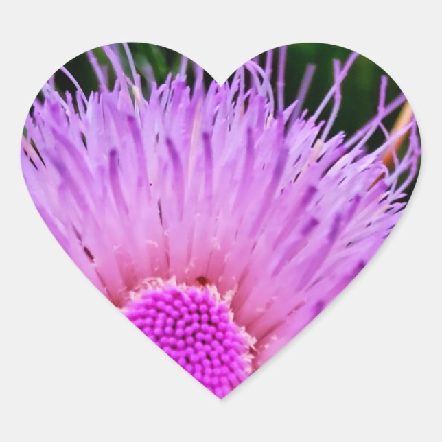 Adesivo Coração Flor roxa e rosa (Frente)