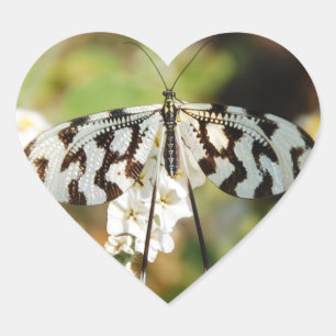 Adesivo Coração Flores Borboleta Florescer Chuva de Bênçãos Casame