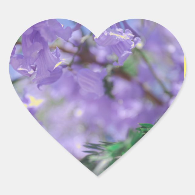 Adesivo Coração Flores de Árvore Purple Jacaranda (Frente)
