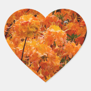Adesivo Coração Flores de Azaléia Flame