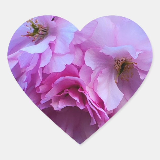 Adesivo Coração Flores De Flor De Cereja Rosa (Frente)