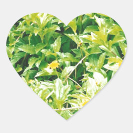 Adesivo Coração Flores e Plantas em Verão