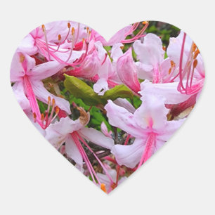 Adesivo Coração Flores rosa de Azalea
