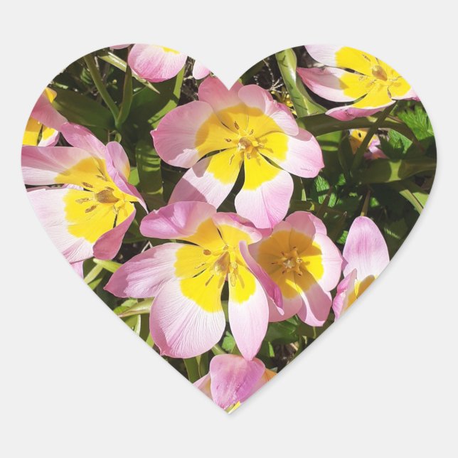 Adesivo Coração Flores Rosa e Amarelo (Frente)