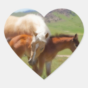 Adesivo Coração Foto de cavalos Mare e Foal Casa e Decoração de co
