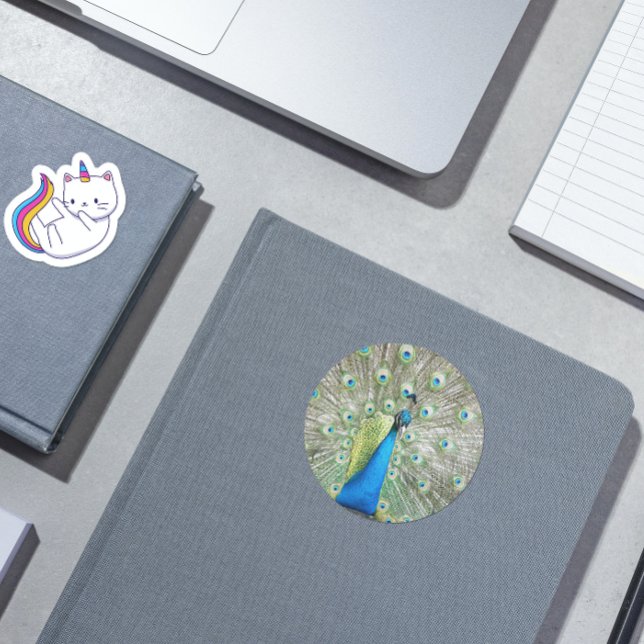 Adesivo Coração Foto de Plumagem de Penas de Pavão Azul (In Situ Book)