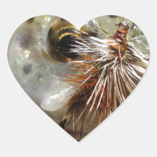 Adesivo Coração Foto do Rainbow Trout