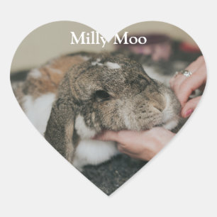 Adesivo Coração Foto personalizada Pet