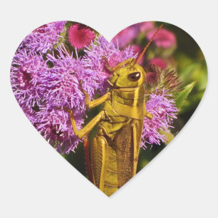 Adesivo Coração Gafanhoto Sortudo em Ageratum