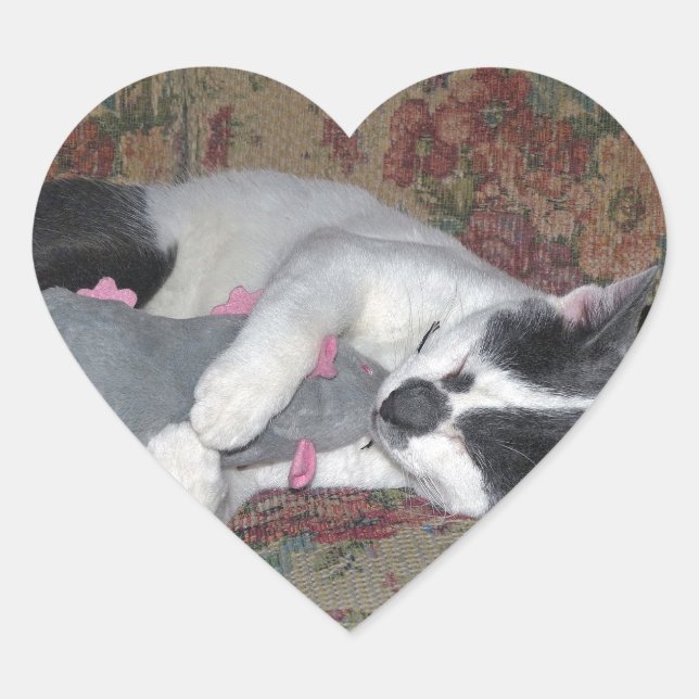 Adesivo Coração Gatinho Dormindo (Frente)