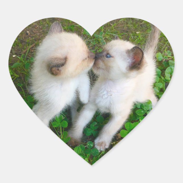 Adesivo Coração gatinhos se beijando (Frente)
