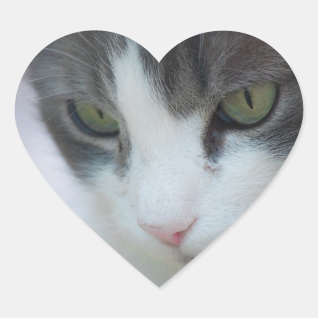 Adesivo Coração gato (Frente)