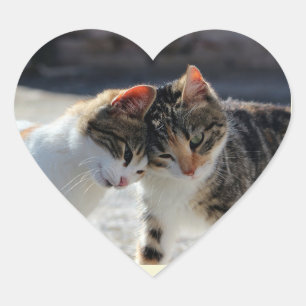 Adesivo Coração Gatos Fofos Amor Carinhoso