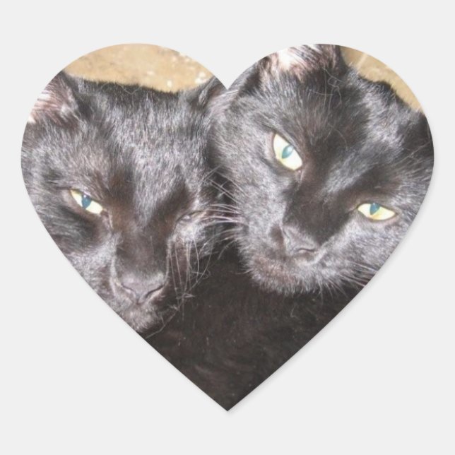 Adesivo Coração Gatos Pretos (Frente)