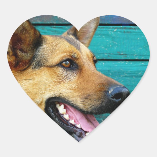 Adesivo Coração german shepherd (Frente)