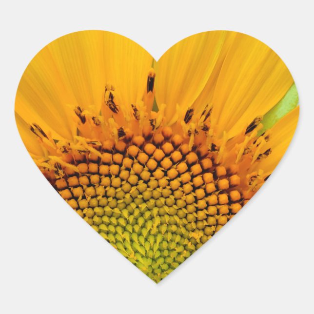 Adesivo Coração Girassol (Frente)