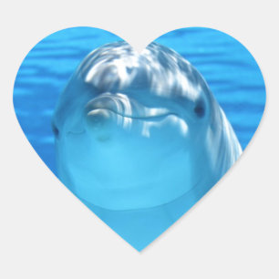 Adesivo Coração Golfinho