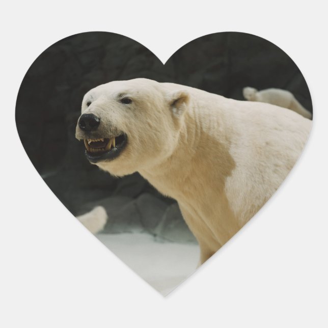 Adesivo Coração Grin do Urso Polar (Frente)