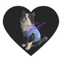 Hakuzi Heart Stickers