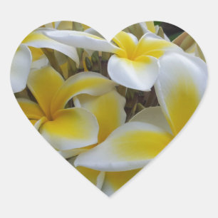 Adesivo Coração Hawaii Plumeria Flowers