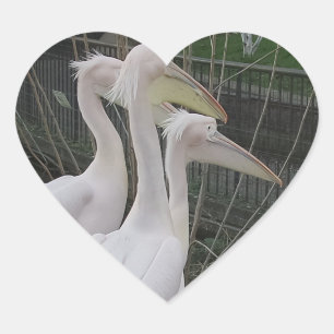 Adesivo Coração Herons Heart Sticker