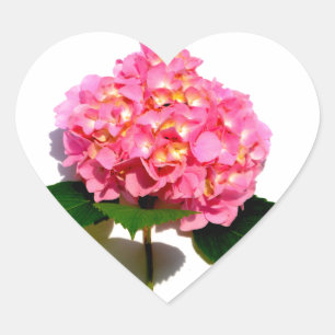 Adesivo Coração Hidrangea Rosa