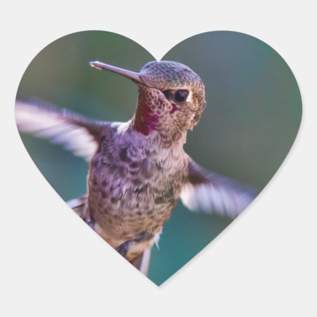 Adesivo Coração Hummingbird (Frente)