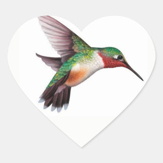 Adesivo Coração Hummingbird Heart Sticker