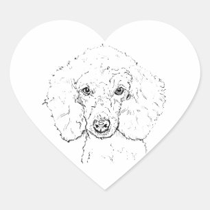 Adesivo Coração Ilustração de Cachorro Poodle Fofo, Desenhado à Mã