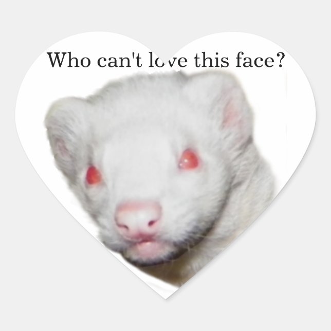 Adesivo Coração Imagem de Albino Ferret (Frente)