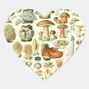 Adesivo Coração Impressão Adolphe Millot Champignon Mushroom