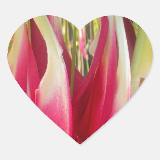 Adesivo Coração Impressão Artística de Coração Floral (Frente)