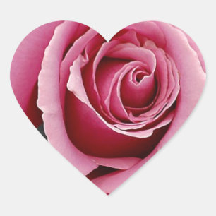 Adesivo Coração Impressão de pétalas de rosa rosa bonita
