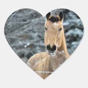 Adesivo Coração Inverno do cavalo do Buckskin