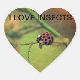 Adesivo Coração Joaninha