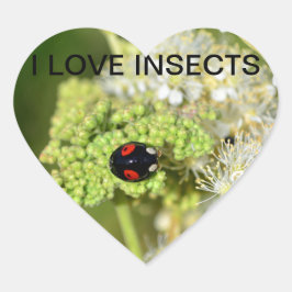 Adesivo Coração Joaninha preta