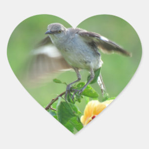 Adesivo Coração Jovem Vedante