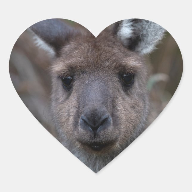 Adesivo Coração Kangaroo Austrália (Frente)