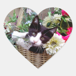 Adesivo Coração Kitten em uma cesta