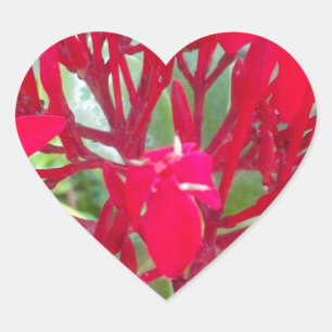 Adesivo Coração Lindas flores vermelhas incríveis