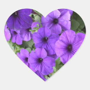 Adesivo Coração Lindas Petunias