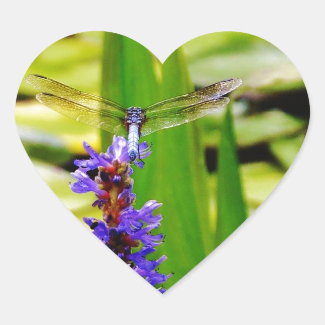 Adesivo Coração Lótus de Dragfly e flor púrpura (Frente)