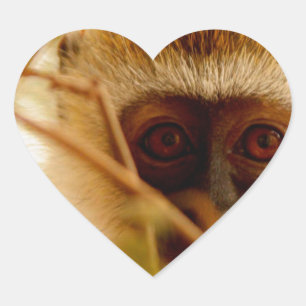 Adesivo Coração Macaco atrevido.