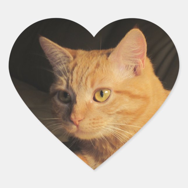 Adesivo Coração Marmalady Heart Stickers (Frente)