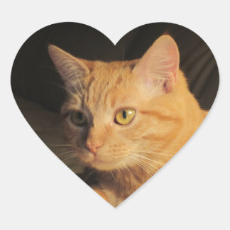 Adesivo Coração Marmalady Heart Stickers